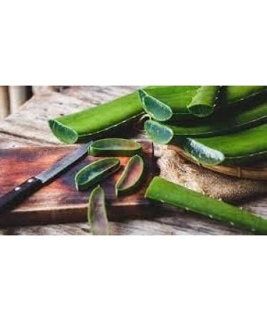 PCI Freedom Herbal Remedy: All-Natural GI Detox & Toxin Filter - 60 Capsules - Buy Online on GoSupps.com