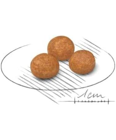 Royal Canin X-Small Adult | Pack of 4 | 4 x 500 g | Dry food for very small adult dogs (up to 4 kg) | to support the intestine skin and urinary tract - Buy Online on GoSupps.com