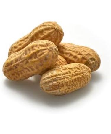 Yupik Dry Roasted Salted Peanuts In Shell 1 kg Kosher Gluten-Free Vegan Whole Seasoned Nuts with Shell Lightly Roasted Oil-Free High in Fiber Savory Snack Once Shelled Salted Peanuts 1 kg (Pack of 1) - Buy Online on GoSupps.com