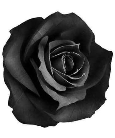 30x BLACK ROSE FLOWERS EDIBLE FLAT CUP CAKE TOPPERS D1 - Buy Online on GoSupps.com