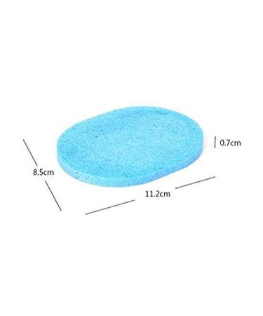 6 Pieces Natural Soft Powder Oval Makeup Sponges Facial Cleansing & Peeling Tools for Flawless Skin - Buy Online on GoSupps.com