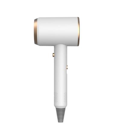 High-Power Hair Dryer Lightweight Quiet Blow Dryer Intelligent Constant Temperature Lasting Hair Dryer Negative Ions Hair Care (White)