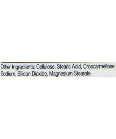 21st Century B-12 500 mcg - 110 Tablets | Energy & Wellness Boost - Buy Online on GoSupps.com