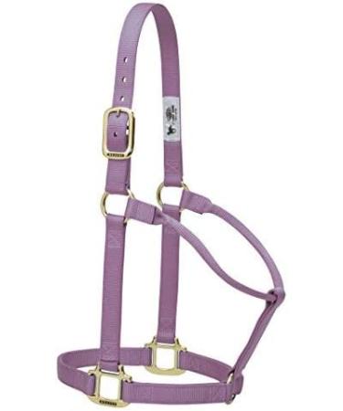 Buy WEAVER Leather Non-Adjustable Halter in Lavender for Yearlings - Premium Quality Equestrian Gear Worldwide Shipping Available - Buy Online on GoSupps.com