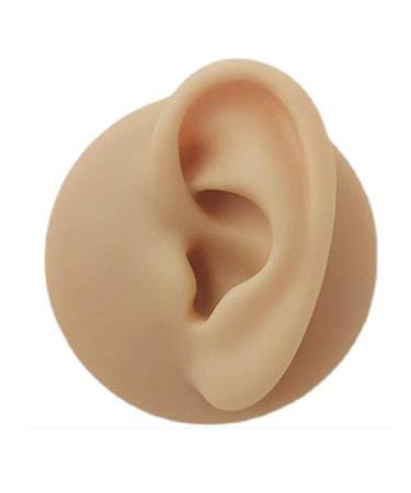 Silicone Ear Model - Simulation Human Ear Model - for Human Body Piercing Acupuncture and Moxibustion Ear Teaching Earrings Earrings Show Left