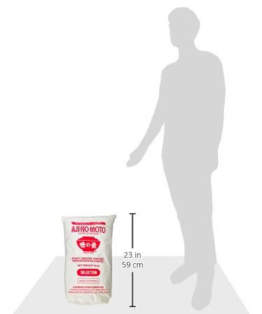 Buy Aji-No-Moto Glutamate 99% - 10 kg Pack | Premium Quality Umami Flavor for International Shipping - Buy Online on GoSupps.com
