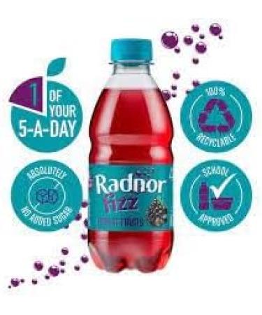 Radnor Fizz Sparkling 24 x 330ml (Forest Fruits) - Buy Online on GoSupps.com