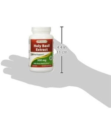 Best Naturals Holy Basil Extract 500mg - 120 Vegetarian Capsules - Buy Online on GoSupps.com