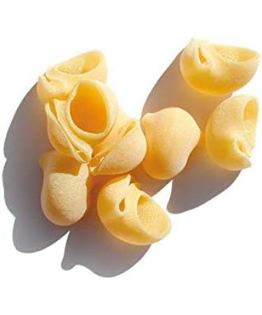  PASTA CAVALIERI X4 CAVALIERI LUMACHE DOUBLE SEMOLA DOUBLE DOUGH PASTA - ARTIGIANAL PRODUCT MADE IN SALENT (4 X 500 g) - Buy Online on GoSupps.com