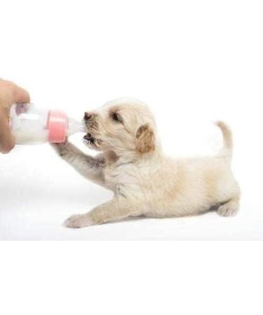 STANGEST Milk Can 400GR - Buy Online on GoSupps.com