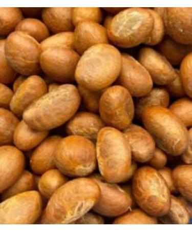 Bitter Kola Nut Garcinia Kola - Bundle of 3 Packs - 675 grams/ 24 ounces - Buy Online on GoSupps.com