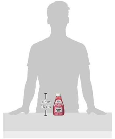 Skinny Food Co Birthday Cake Syrup 425ml - Zero Calorie, Sugar Free, 0 Fat - Ideal for Deserts, Cakes, Smoothies - Perfect for Gym-Fitness and Weight Loss Diets - Pack of 1 - Buy Online on GoSupps.com