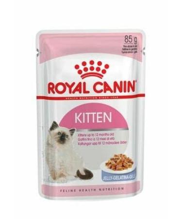 Royal Canin Kitten in Jelly Wet Cat Pouches 85g (Pack of 12)