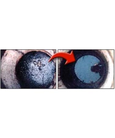 BSA 10003 Septic Tank Treatment - Patented Exxon Valdez Cleaner for Safe Septic Maintenance Drain Clog Removal & Unclogging - 42 Monthly Treatments - Buy Online on GoSupps.com