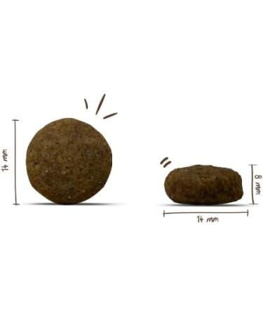 bosch HPC Special Light - Dry dog food for a diet with reduced protein and mineral content - 1 x 2.5 kg - Buy Online on GoSupps.com