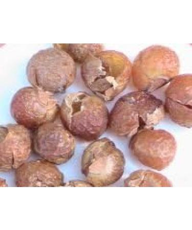Green Virgin Soap Nuts - 500g (1.1 lbs) for 165 Wash Loads | Eco-Friendly Laundry Solution with 2 Wash Bags - Buy Online on GoSupps.com