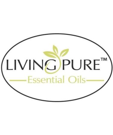 1 Respiratory Essential Oil Blend - Allergy Relief Congestion Support & Organic Aromatherapy - 15ml - Buy Online on GoSupps.com