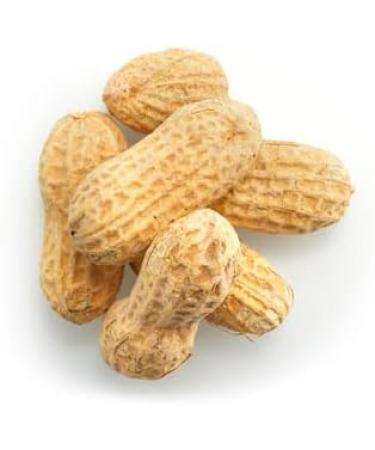 Yupik Dry Roasted Salted Peanuts In Shell 1 kg Kosher Gluten-Free Vegan Whole Seasoned Nuts with Shell Lightly Roasted Oil-Free High in Fiber Savory Snack Once Shelled Salted Peanuts 1 kg (Pack of 1) - Buy Online on GoSupps.com