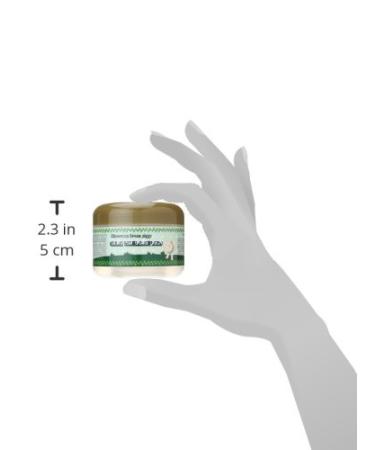 Elizavecca Green Piggy Collagen Jelly Pack 3.53 oz - Anti-Aging Skin Hydration - Buy Online on GoSupps.com