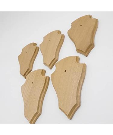5 Piece REH Trophy Signs - Light Oak Plaques with Pine Compartment | 19x11 cm - Ideal for Awards & Decor | International Shipping - Buy Online on GoSupps.com