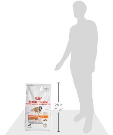 Royal Canin Sport Trail 4300 Dog Food 15 kg - Buy Online on GoSupps.com