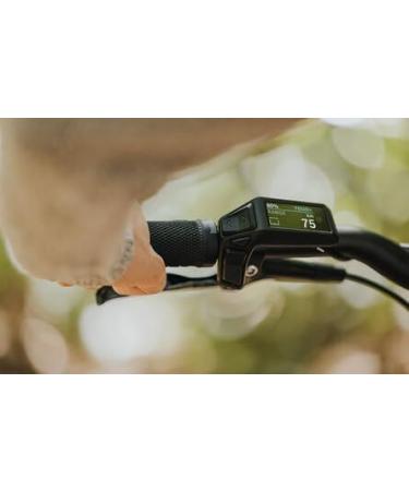 Buy Bosch Purion 200 BES Internationally | Fast Shipping & Best Prices | eCommerce Store - Buy Online on GoSupps.com