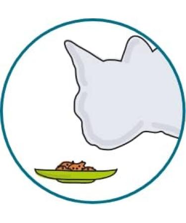 Porus Add One | Salmon Cream Flavor | 30 x 10 g | Food Supplement for Cats | Delicious treat to mix with Porus One - Buy Online on GoSupps.com