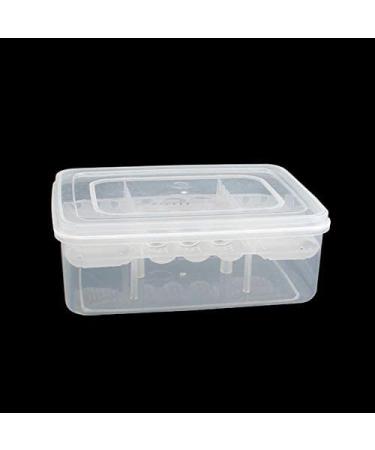 16 Grids Reptile Breeder Box - Professional Plastic Breeding & Hatching Incubator for Reptiles - Ideal for Snakes, Lizards, Turtles, and Geckos - Includes Eggs Tray - 6.6 x 4.8 x 2.4 inches - Buy Online on GoSupps.com
