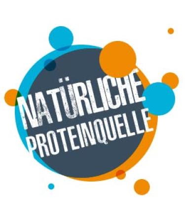 Sven Jack Energy Cake - Banana Flavored Endurance Bar | High Protein Low Sugar Oatmeal Snack | 125g (12 Pack) for Athletes - Buy Online on GoSupps.com