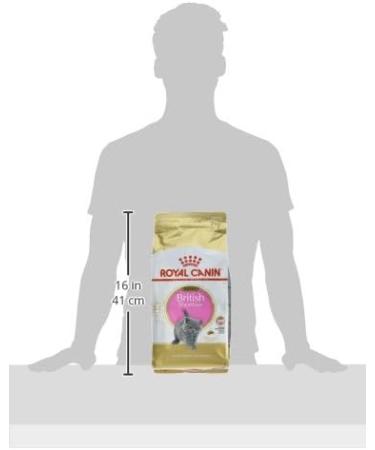 Royal Canin Kitten Food - British Shorthair Complete Food 2Kg Vegetable 2 kg (Pack of 1) - Buy Online on GoSupps.com