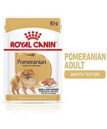 Royal Canin Pomeranian Adult Dog Wet Pouches 85g (Pack of 24) - Buy Online on GoSupps.com