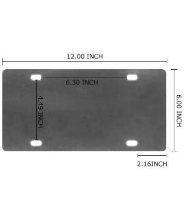 Winter Cardinal Birds Novelty License Plate - 6 X 12 Front Plate Decoration - Buy Online on GoSupps.com