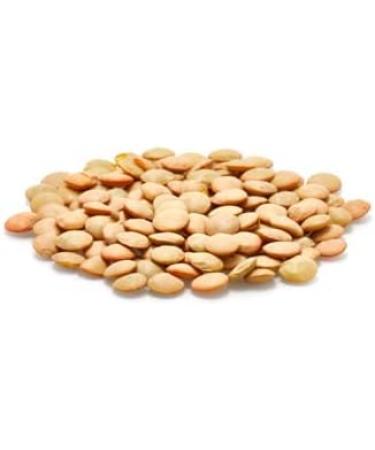 Yupik Organic Green Lentils 1kg Non-GMO Vegan Gluten-Free Kosher Raw Source of Fiber Iron & Protein Fiber & Iron Ideal for Soups Salads & Plant-Based Meals 1 kg (Pack of 1) - Buy Online on GoSupps.com
