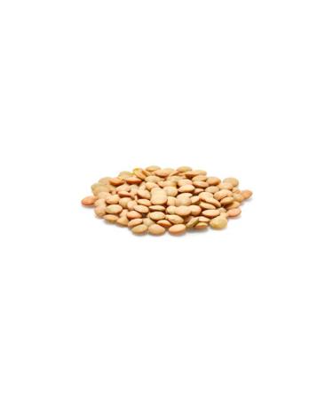 Yupik Organic Green Lentils 2.2 lb - Non-GMO, Vegan, Gluten-Free - Buy Online on GoSupps.com