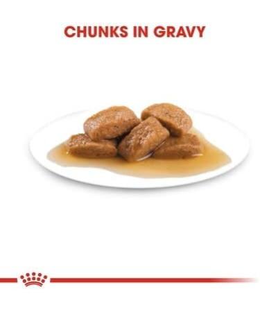 Royal Canin Maxi Ageing 8+ Wet Dog Food (40 x 140g Pouches) - Buy Online on GoSupps.com