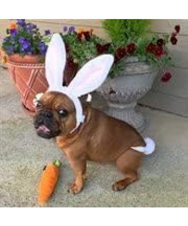 Midlee Small White Bunny Ears for Dogs with Tail - Adorable Costume Accessory - Buy Online on GoSupps.com