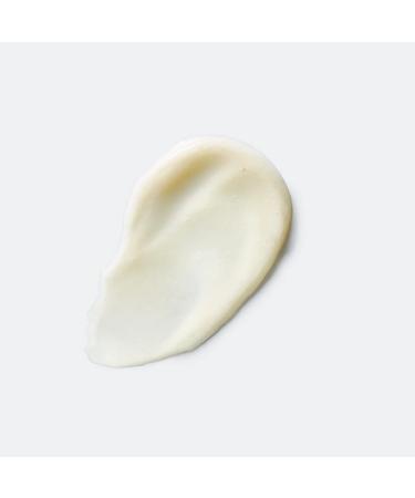 EVOLVh Natural UltraRepair Hair Masque - Vegan, Non-Toxic, Clean Hair Care | 2 fl oz (Pack of 1) - Buy Online on GoSupps.com