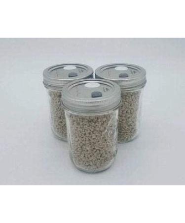 BRF PF Tek Brown Rice Flour Mushroom Substrate - 1/2 Pint Jar - Buy Online on GoSupps.com