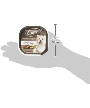 CESAR Filets in Sauce Wet Dog Food - New York Strip 100g (Pack of 24) Tray New York Strip 100 g (Pack of 24) - Buy Online on GoSupps.com