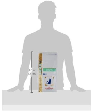Royal Canin Cat Food Veterinary Dental DS0 29 - Buy Online on GoSupps.com
