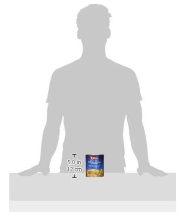 Zanae Broad White Beans - Natural - Pack of 2 (2 x 820g) for International Shipping - Buy Online on GoSupps.com