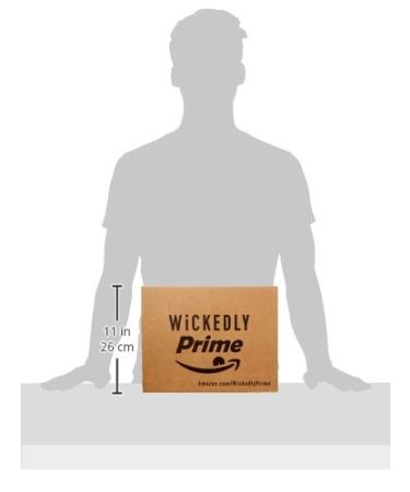 Wickedly Prime Plantain Chips - Simple & Slightly Sweet  10oz Pack of 4 | Gluten-Free Snack - Buy Online on GoSupps.com