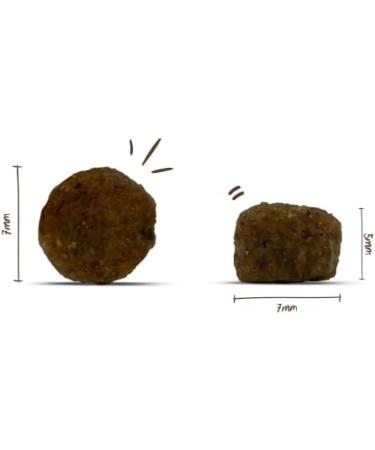 Sanabelle Adult with Poultry | Premium Dry Cat Food for Adult Cats (12+ Months) | 6 x 400 g Pack - International Shipping Available - Buy Online on GoSupps.com