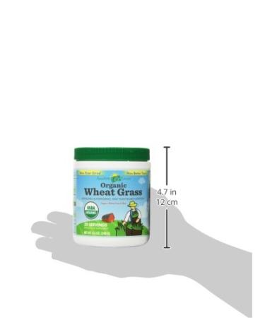 Buy Amazing Grass Organic Wheat Grass Powder 8.5 oz | Nutrient-Rich Superfood - Buy Online on GoSupps.com