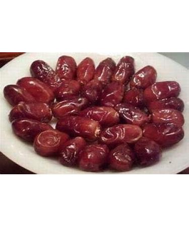 ORGANIZE AOZA Saninhigrams Marmant - Buy Online on GoSupps.com