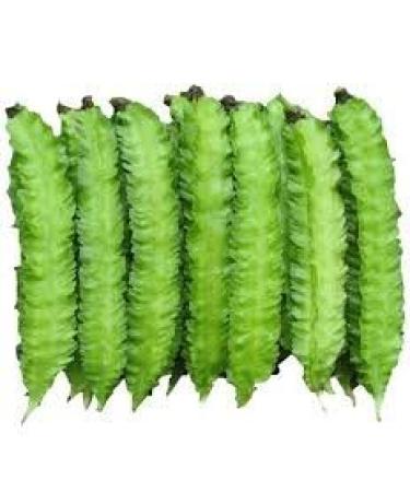 20 Winged Bean Semi di Verdure