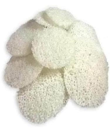 The Organic Home Made Sabudana (Sago) Papad (Pack of 400GM) Fasting Special Made with Sendha Namak Vrat Bhojan Navratri Sawan Janamshtami etc - Buy Online on GoSupps.com