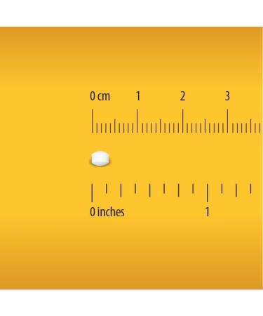 Globe Electrolyte Replacement Tablets for Rapid Hydration & Exercise Recovery (500 Tablets 250 Packets of 2) for Athletes Hiking & Sports Travel Packets with Key Nutrients for Optimal Endurance - Buy Online on GoSupps.com