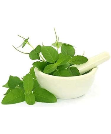 Herbal Magic's Pure and Natural Panch Tulsi Drops-Extract of Five Types of Holy Basil - Shyam Tulsi Shwet Sursa Tulsi Nimbu Tulsi Van Tulsi-Most Revered in Ayurveda-Liquid/Drops 30ml (Pack of 3) 30.00 ml (Pack of 3) - Buy Online on GoSupps.com