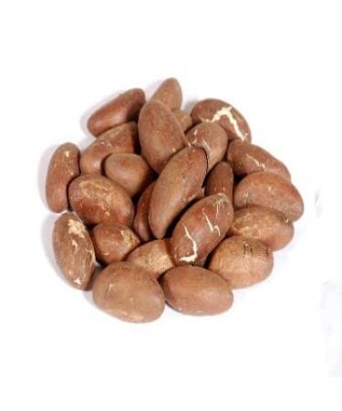 Fresh African Bitter Kola Nut Garcina Kola (500g) 500.0 grams - Buy Online on GoSupps.com